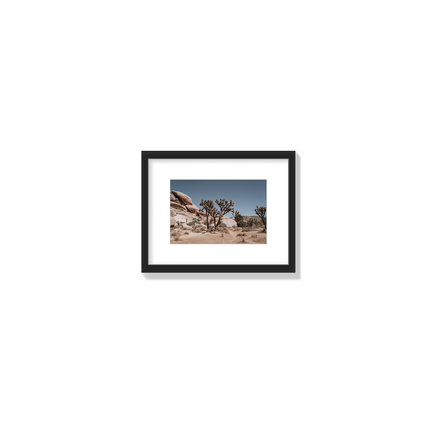 Desert Blaze