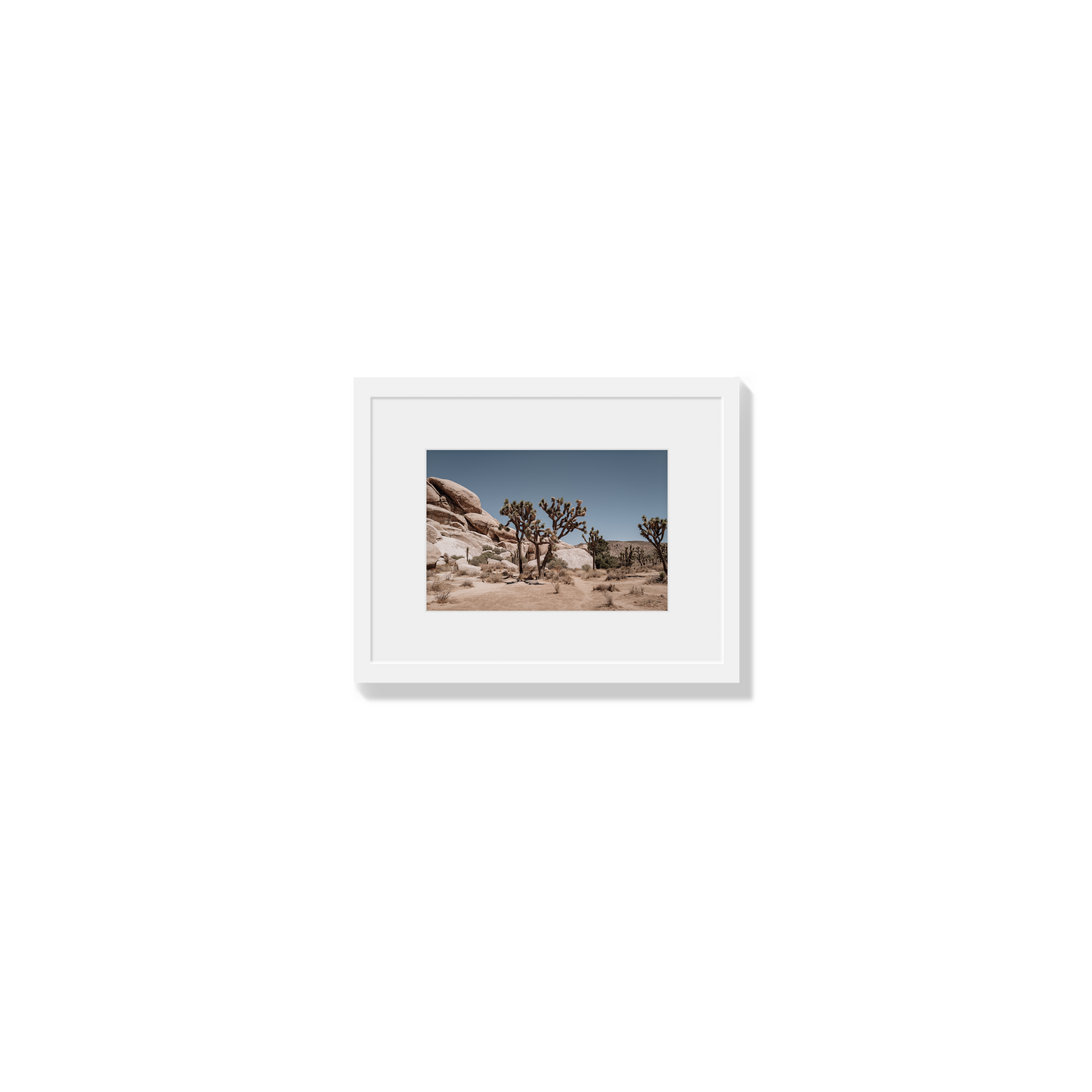 Desert Blaze