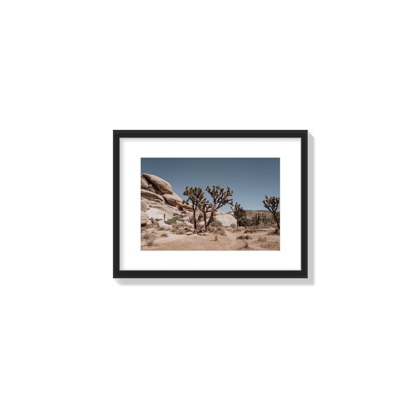 Desert Blaze