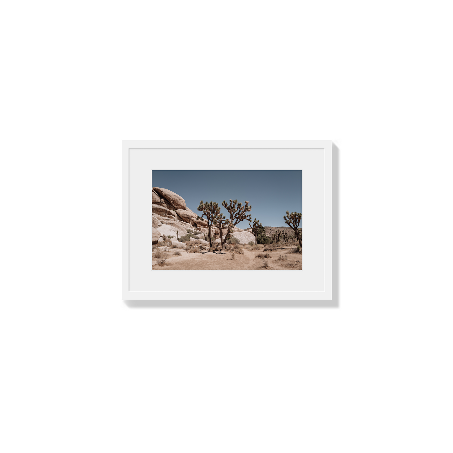 Desert Blaze