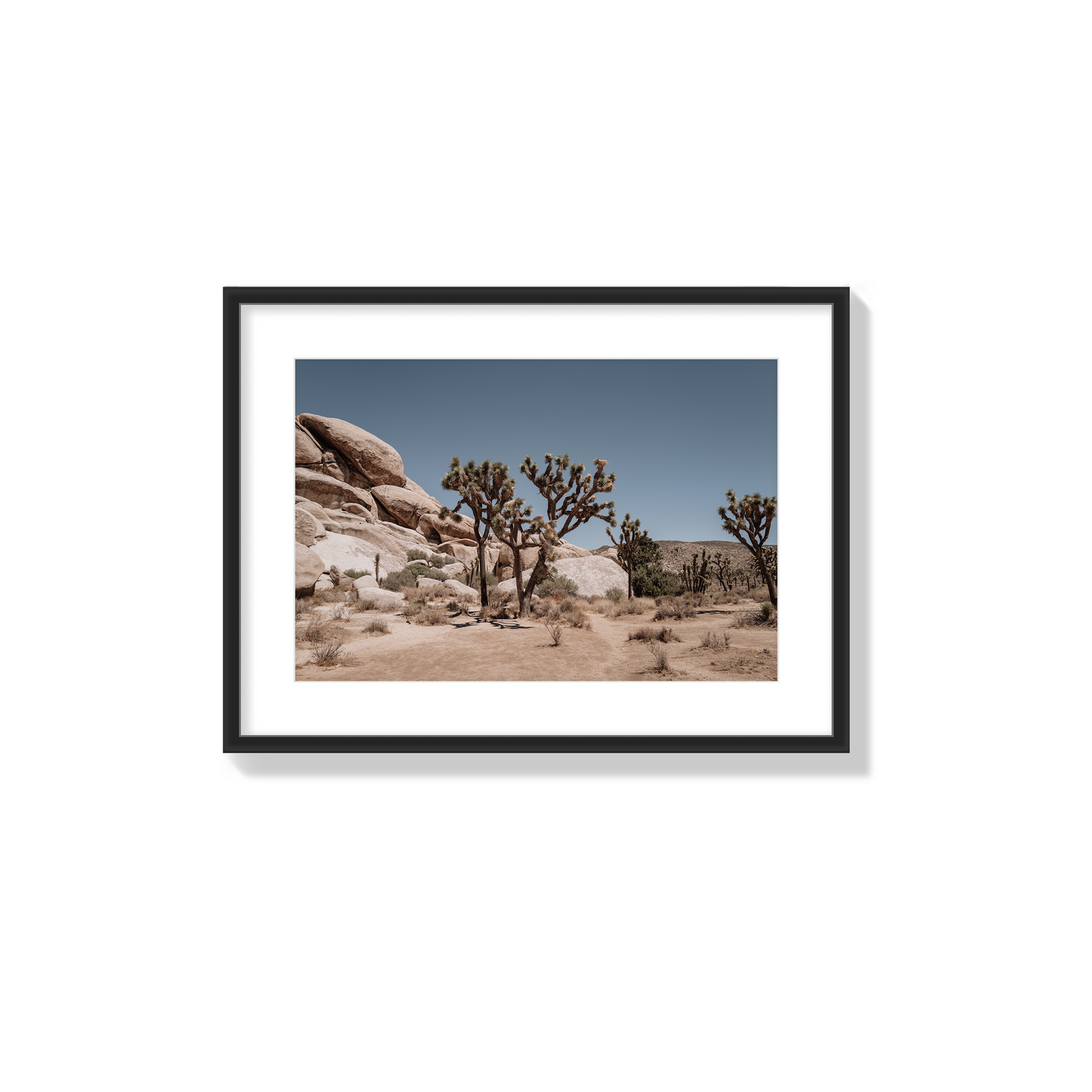 Desert Blaze