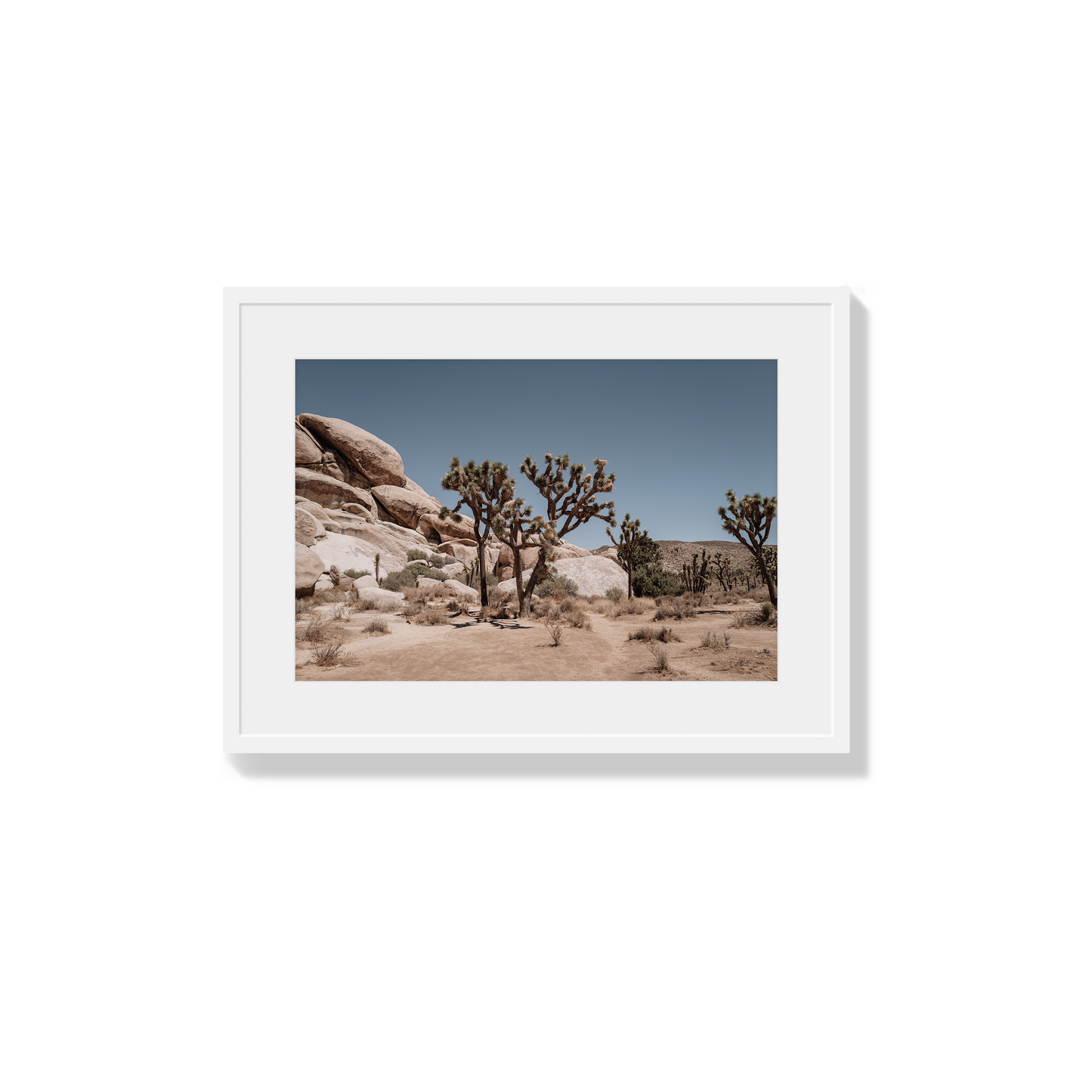 Desert Blaze