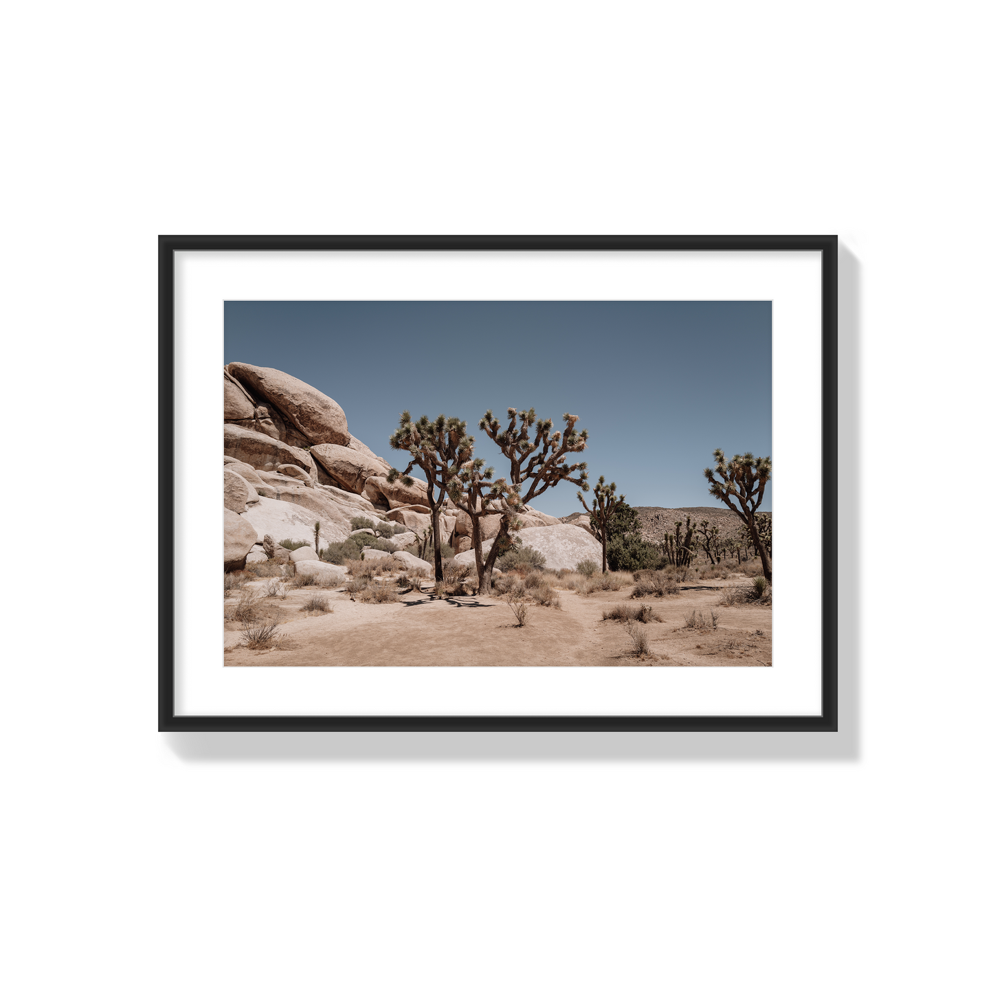Desert Blaze