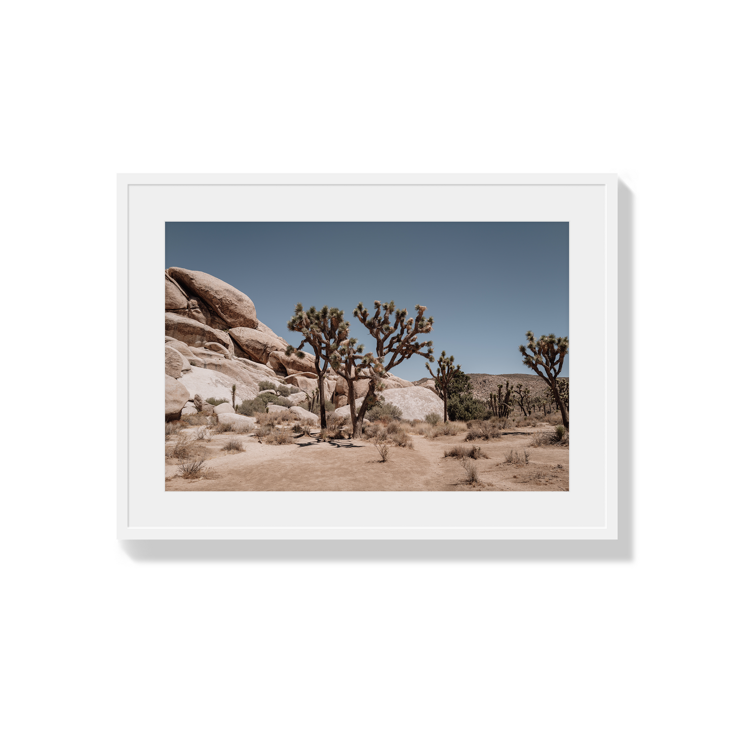Desert Blaze