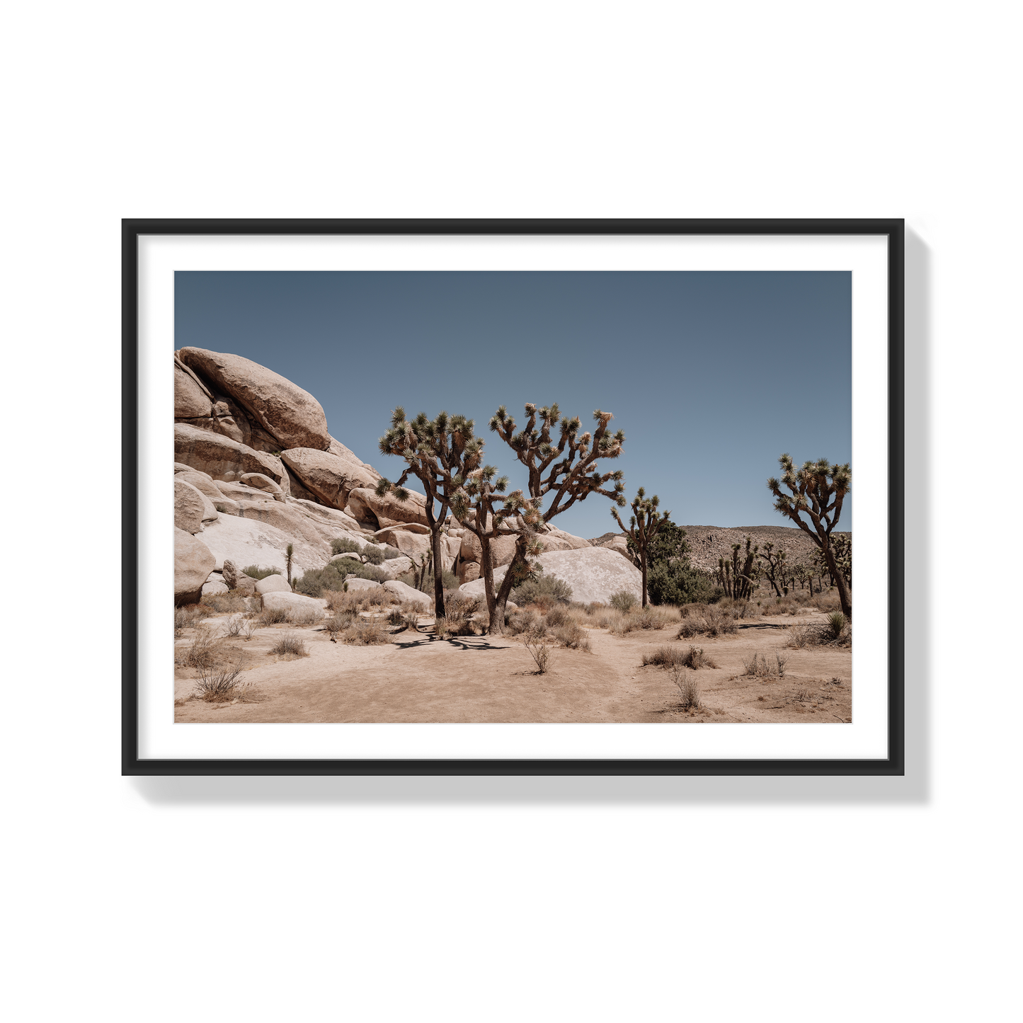 Desert Blaze