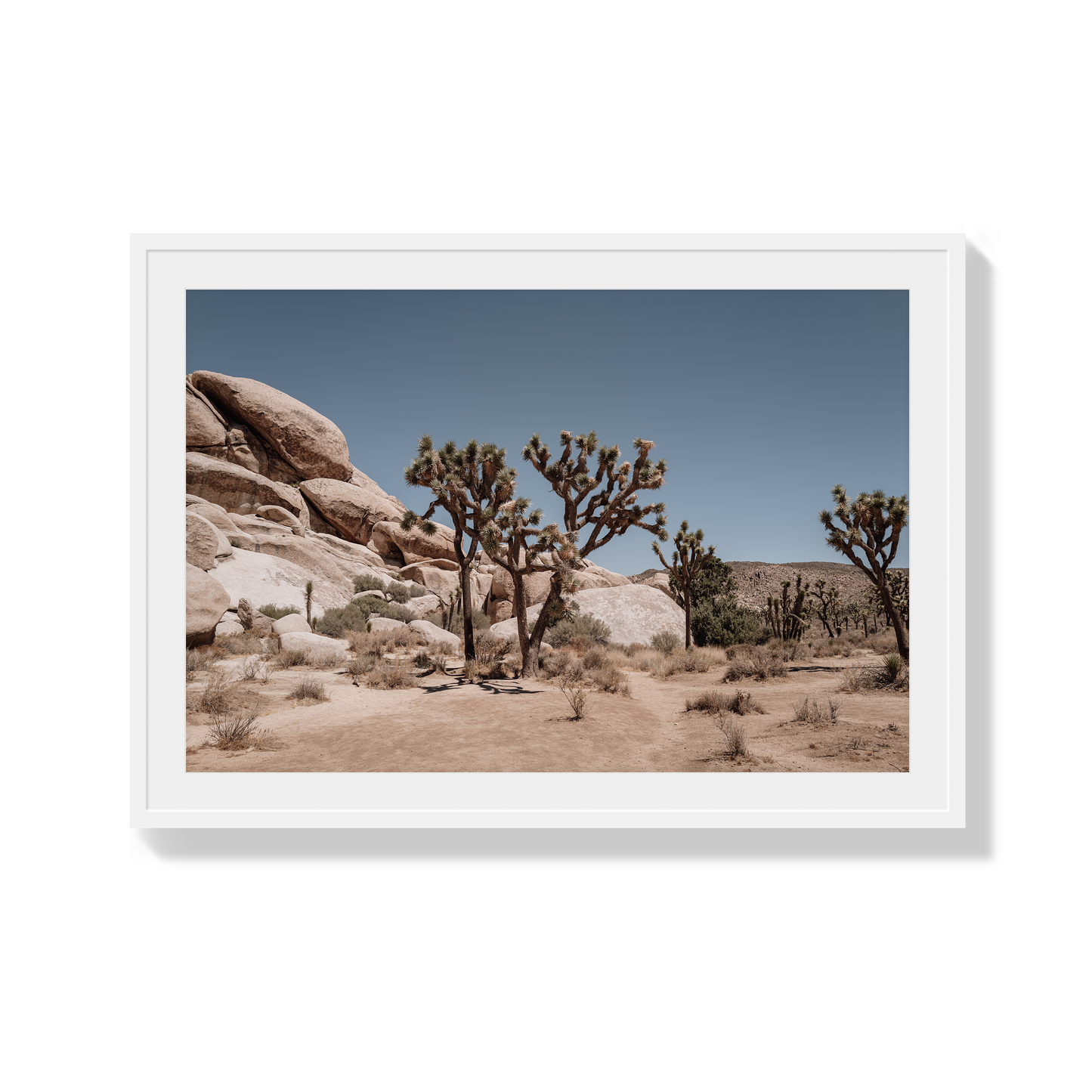 Desert Blaze