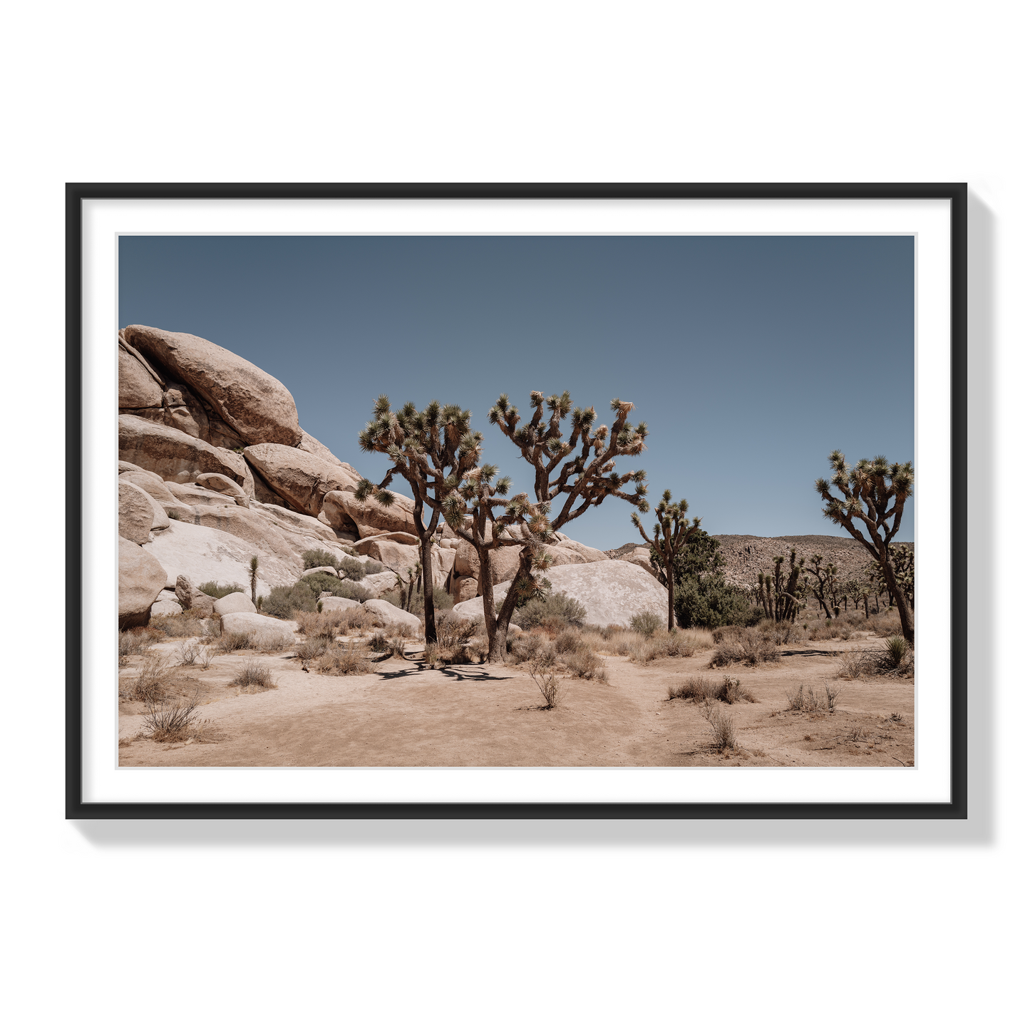 Desert Blaze
