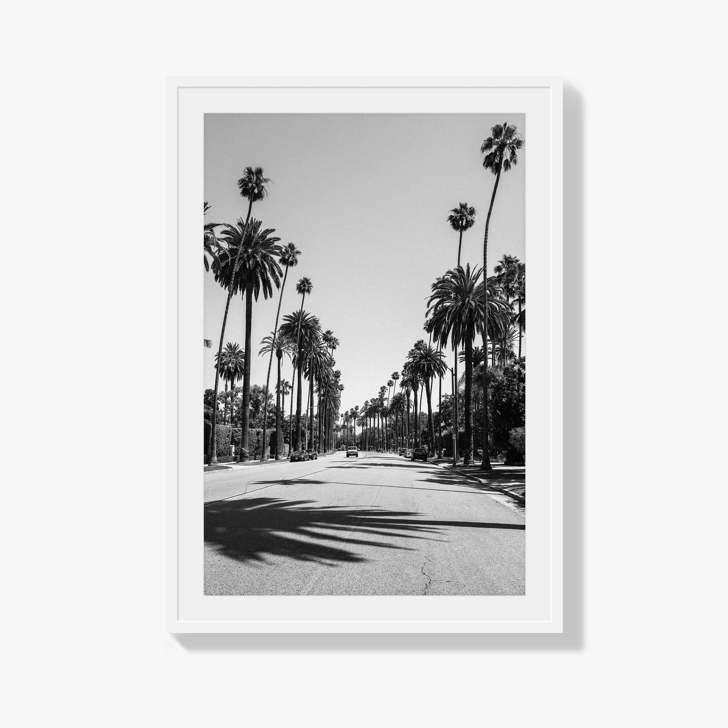 Tranquil Vogue