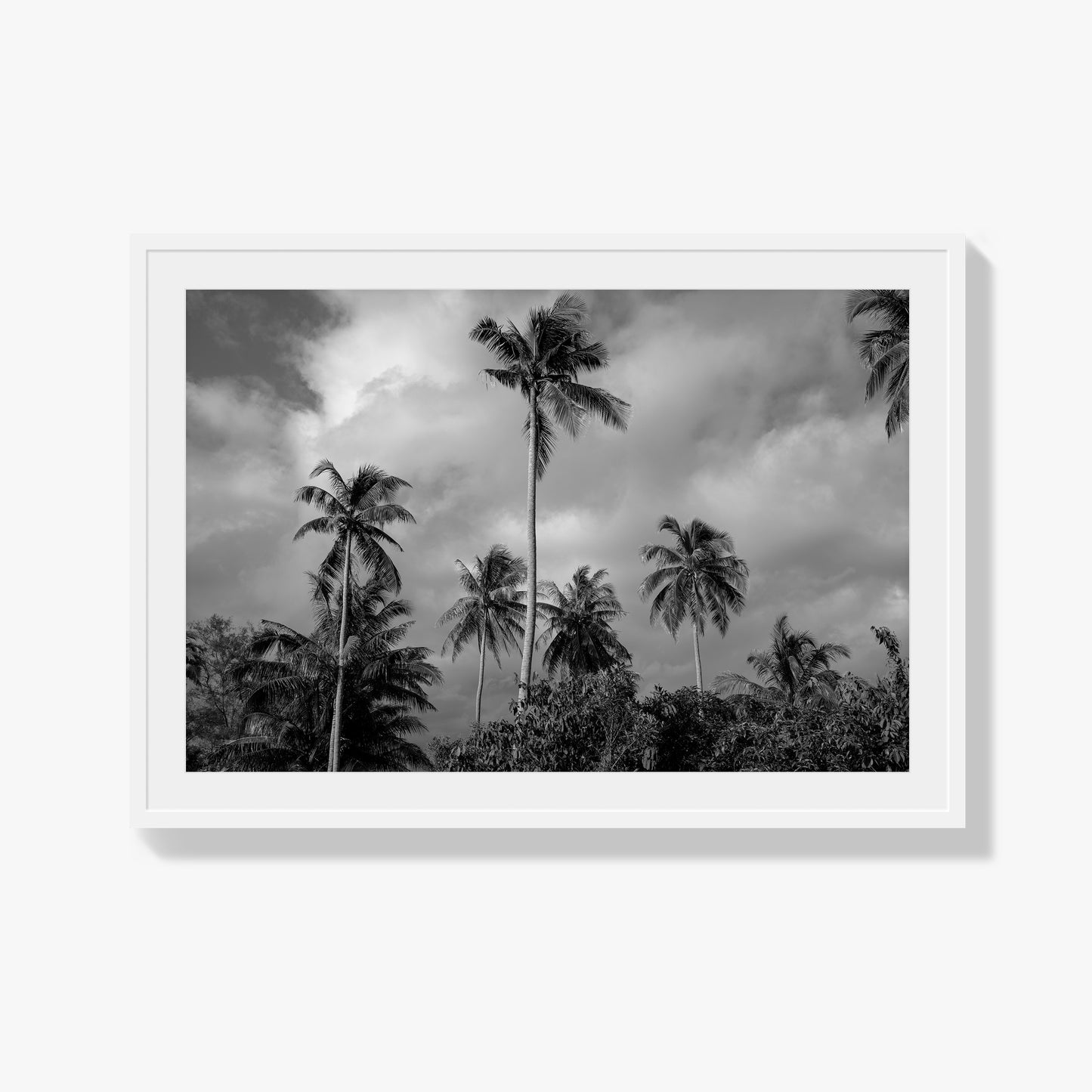 Tropical Heavan
