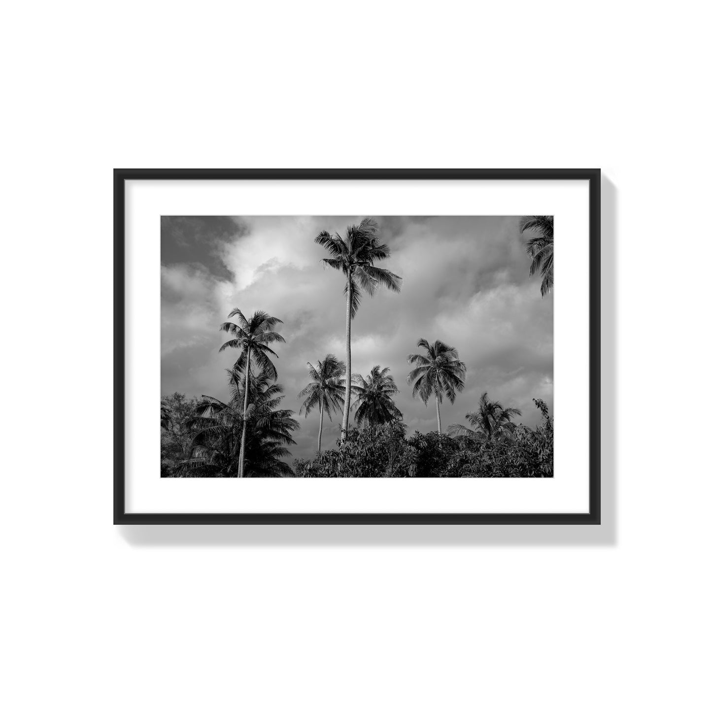 Tropical Heavan