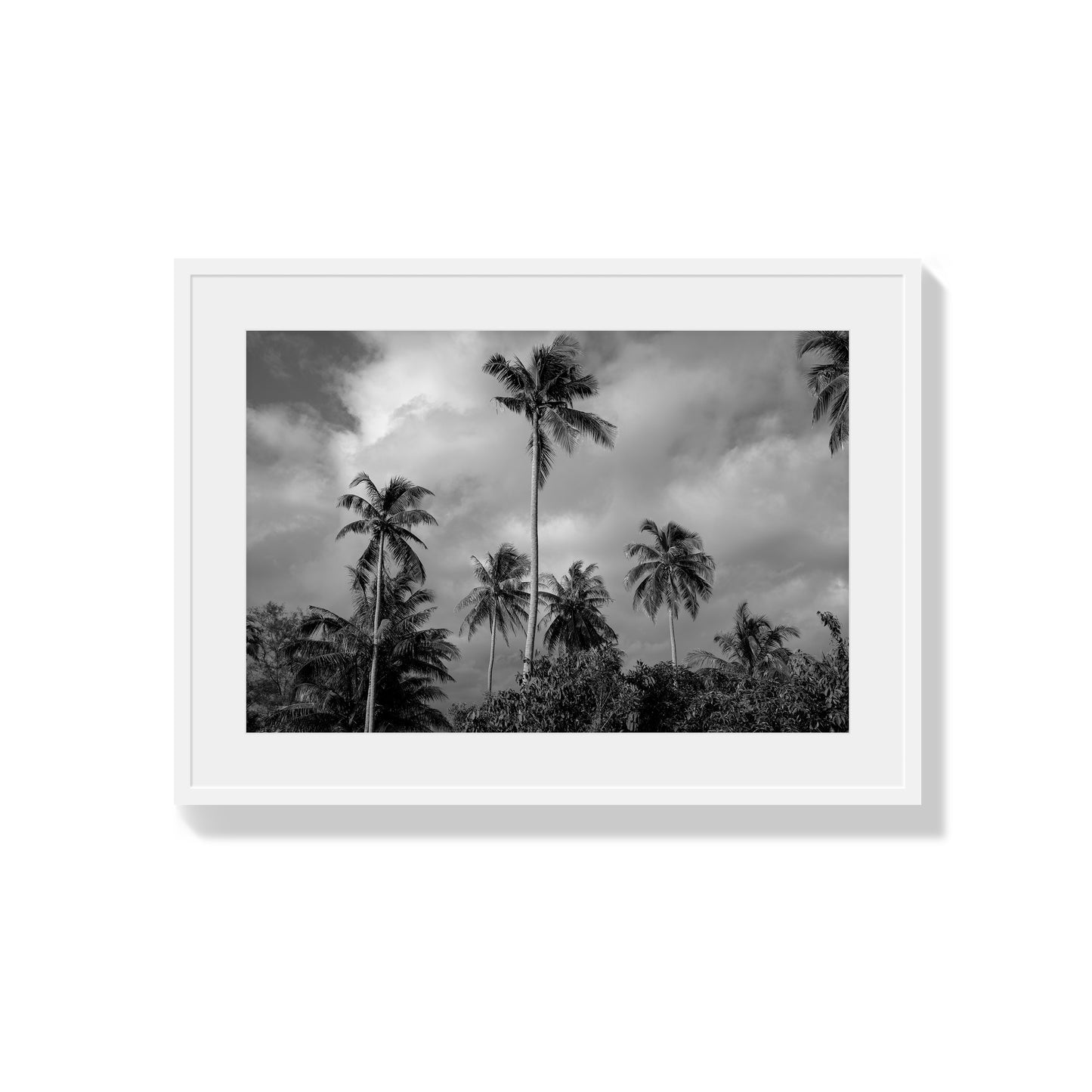 Tropical Heavan