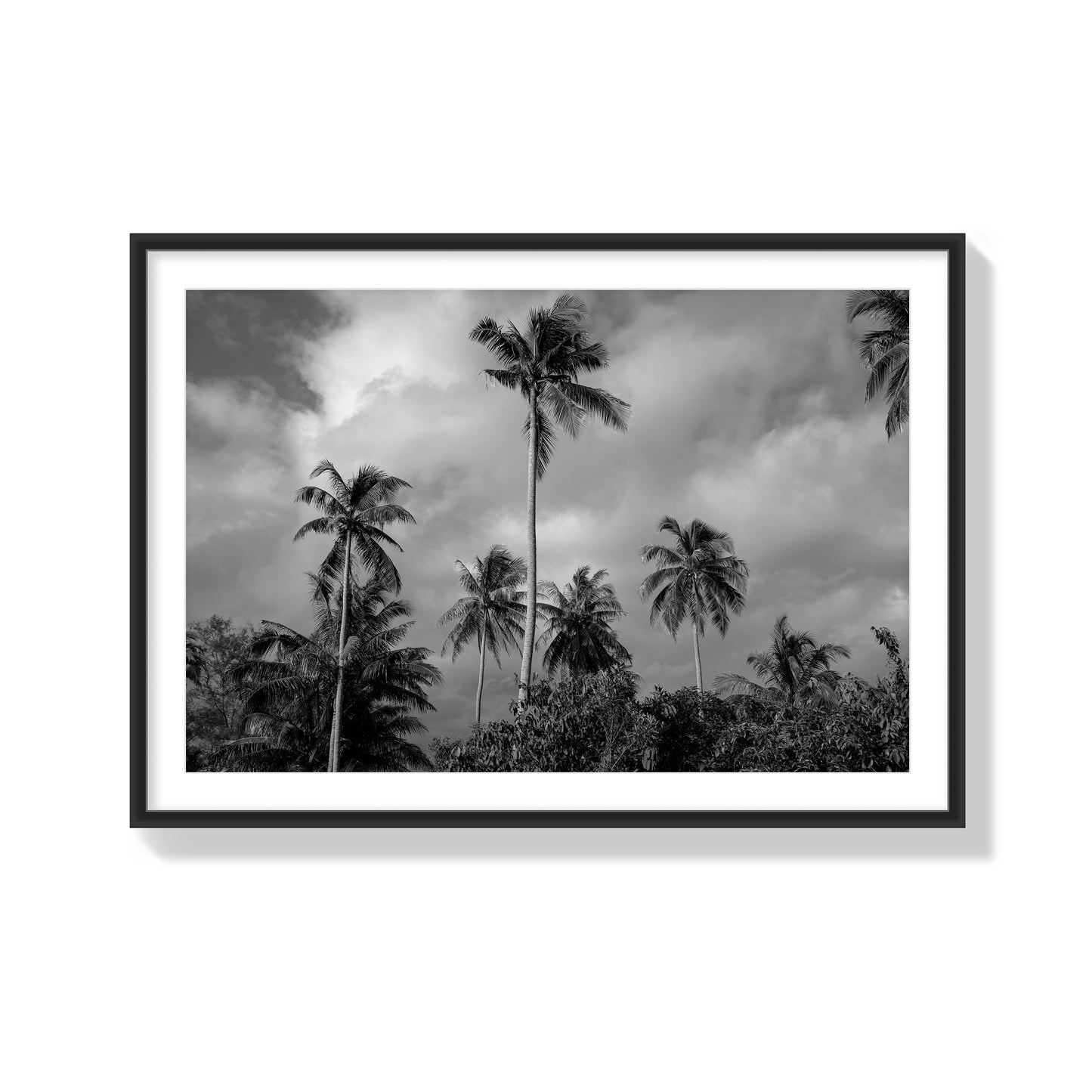 Tropical Heavan