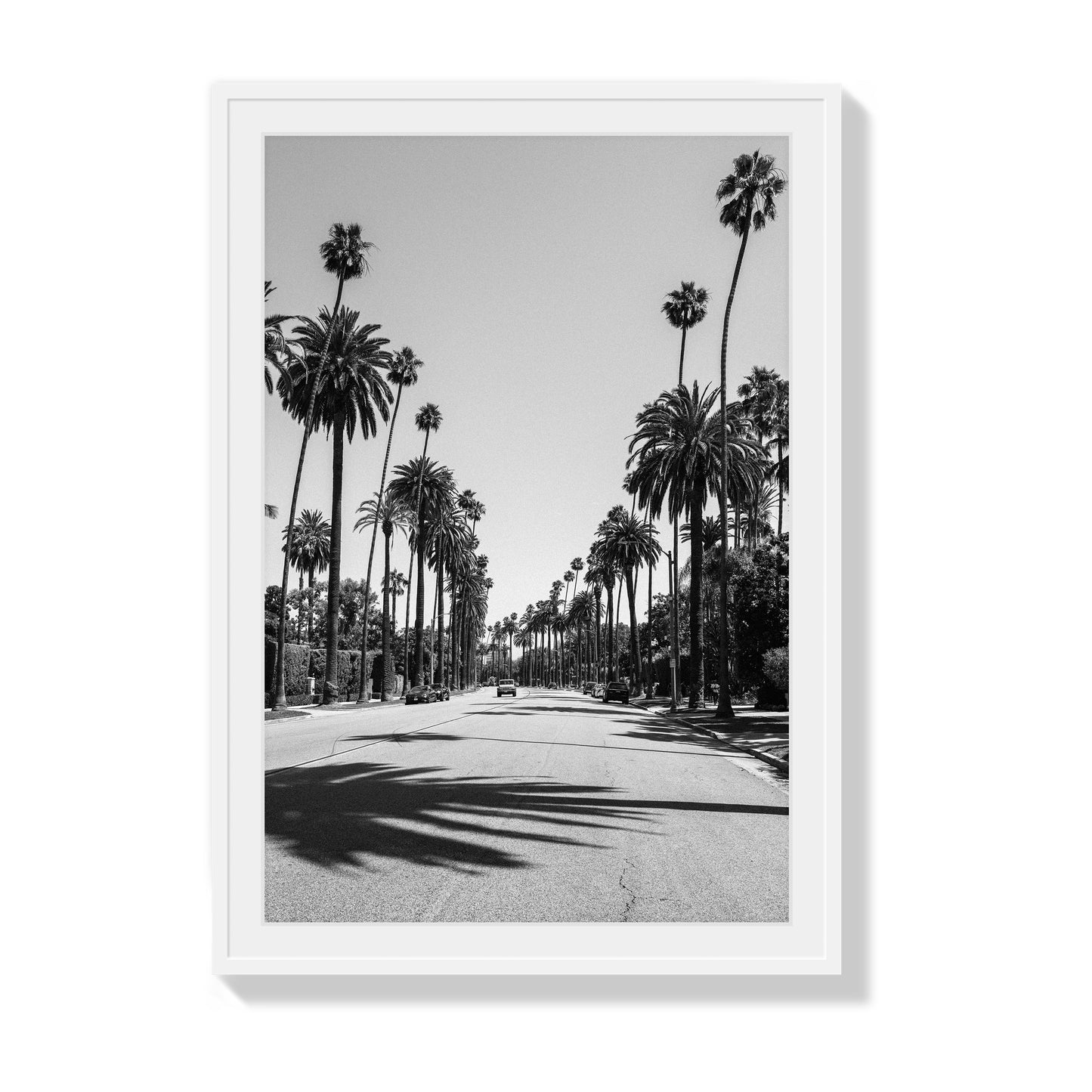 Tranquil Vogue