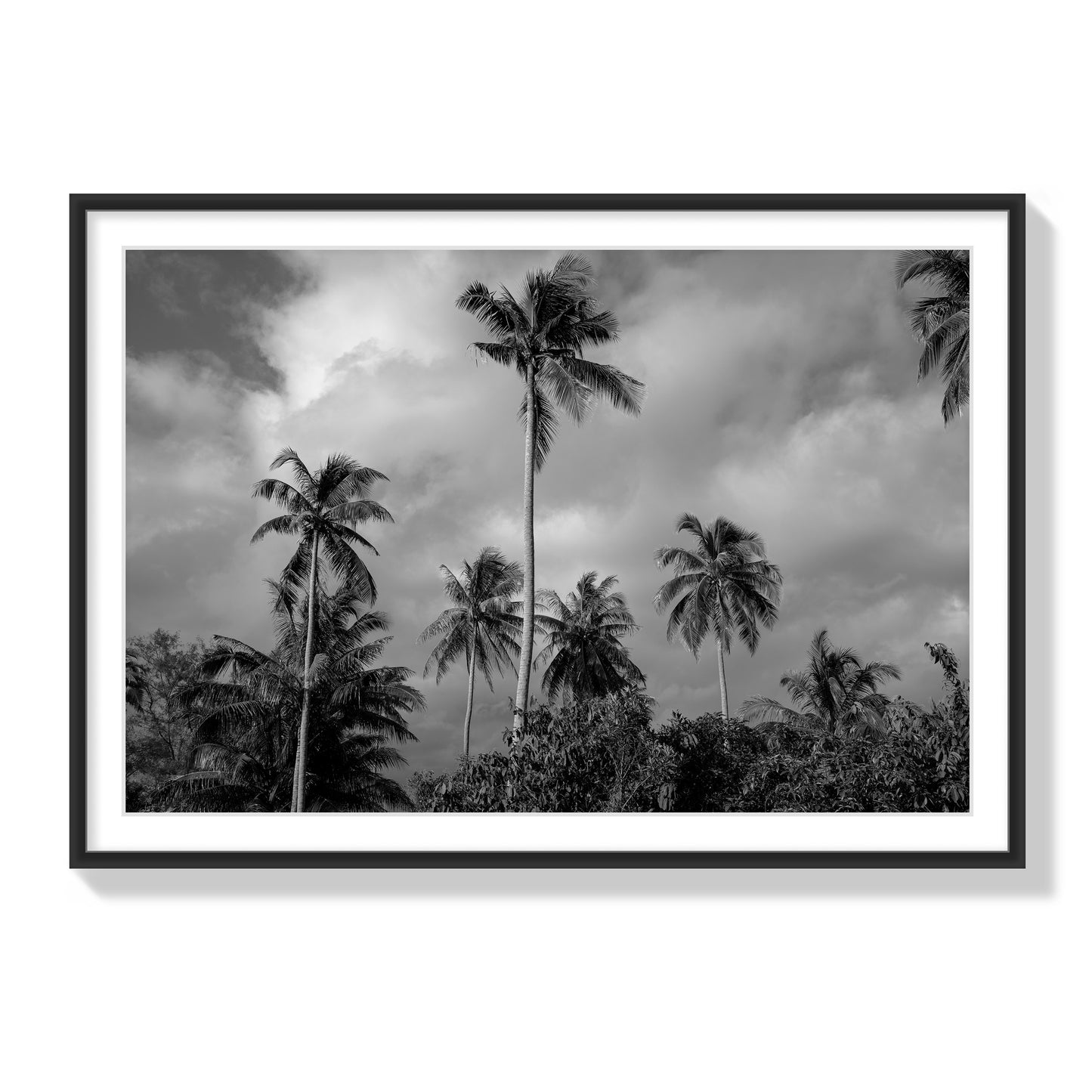 Tropical Heavan