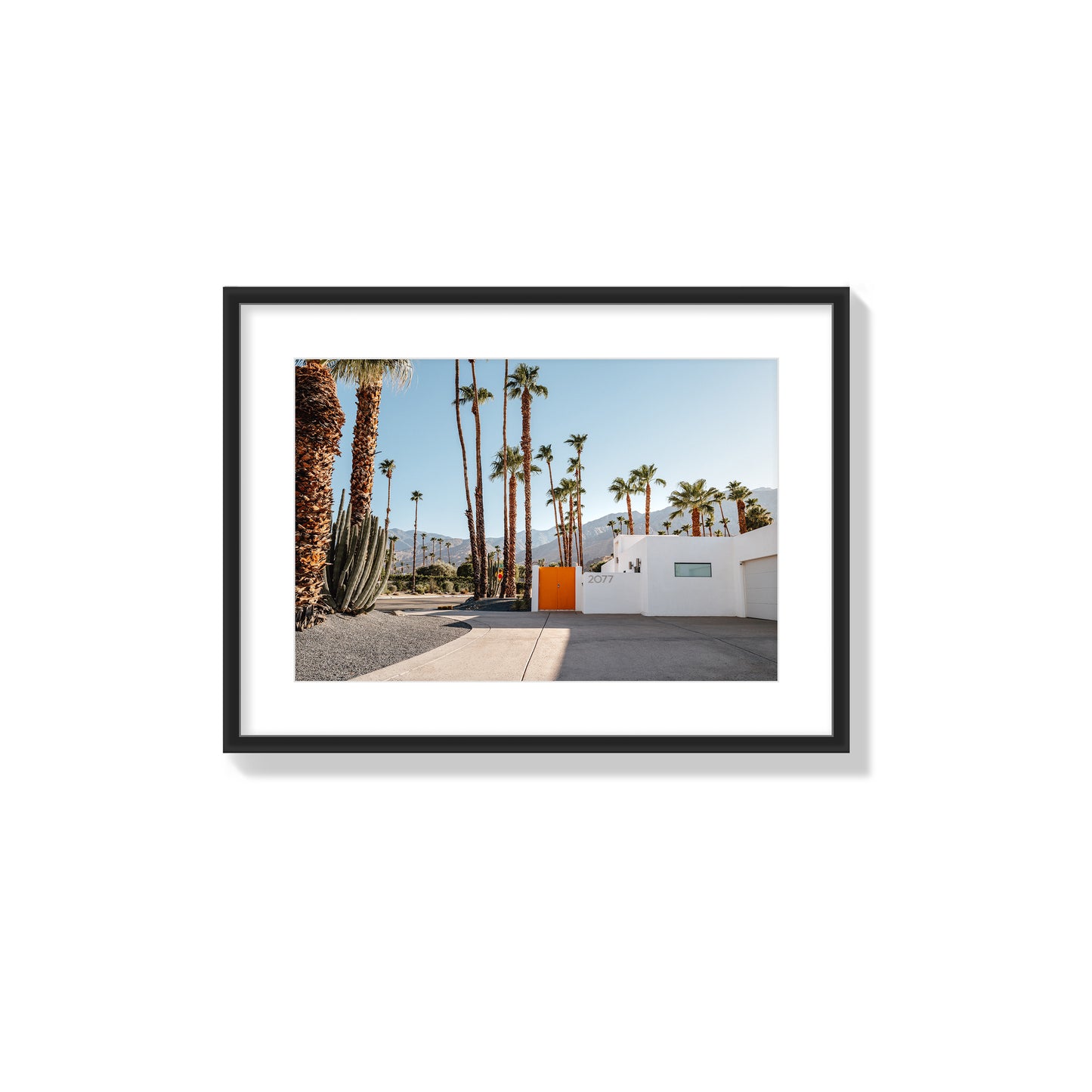 Orange Oasis