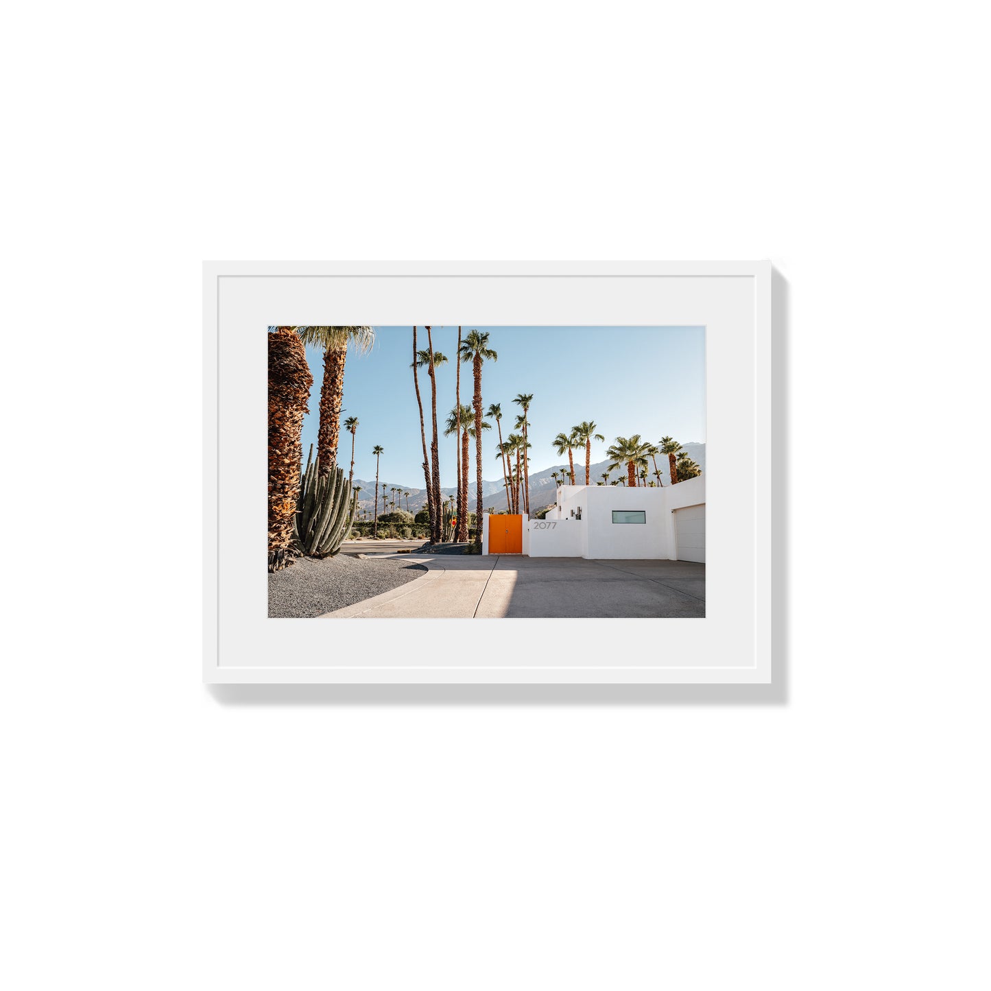 Orange Oasis