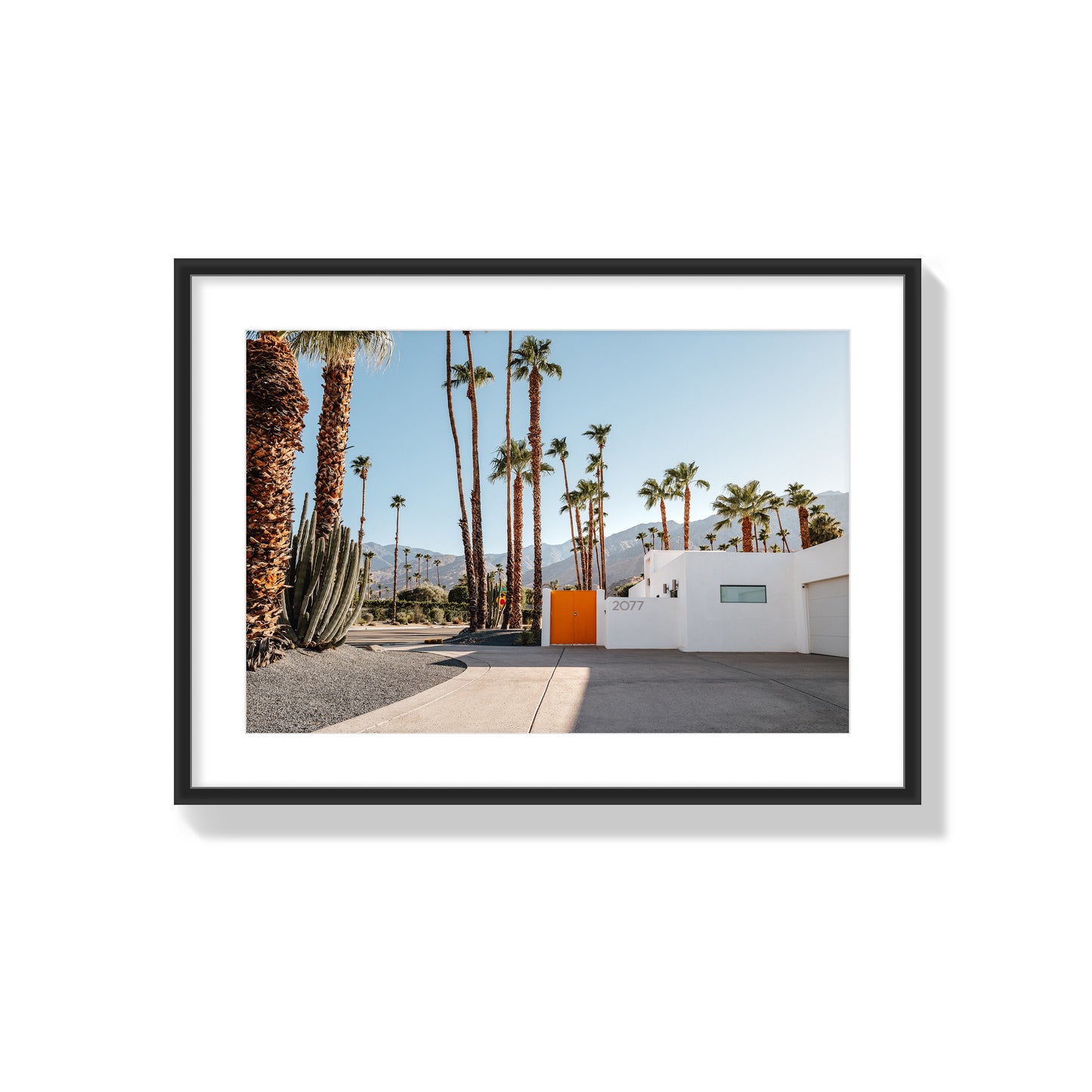 Orange Oasis