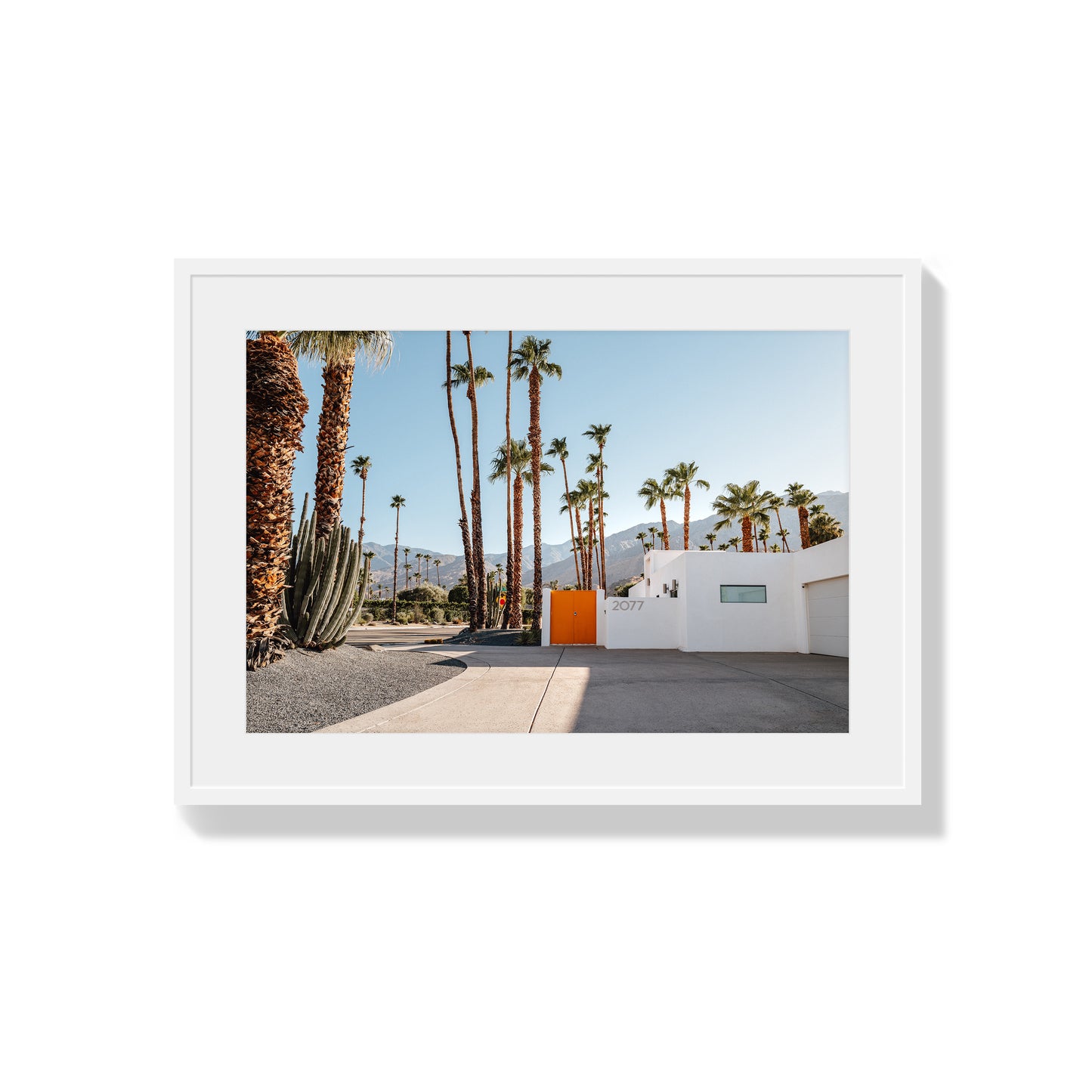 Orange Oasis