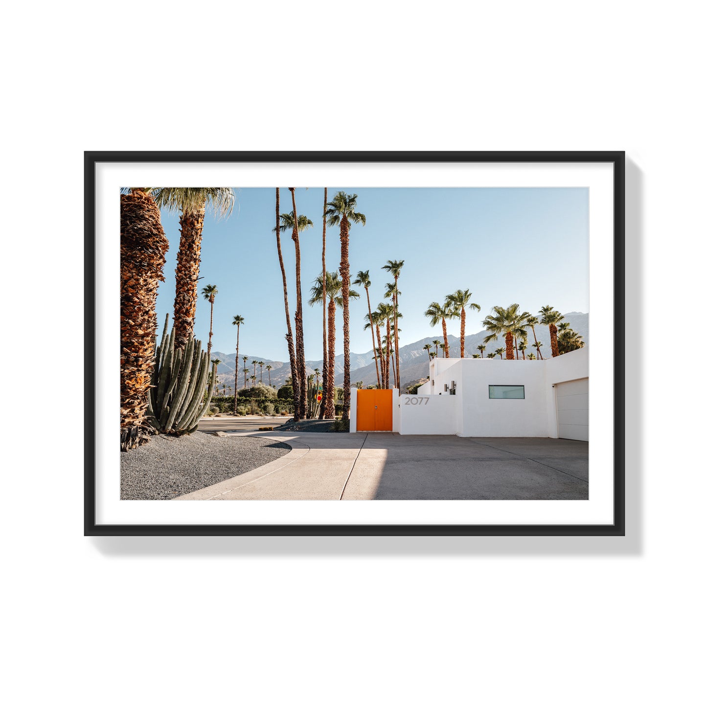 Orange Oasis