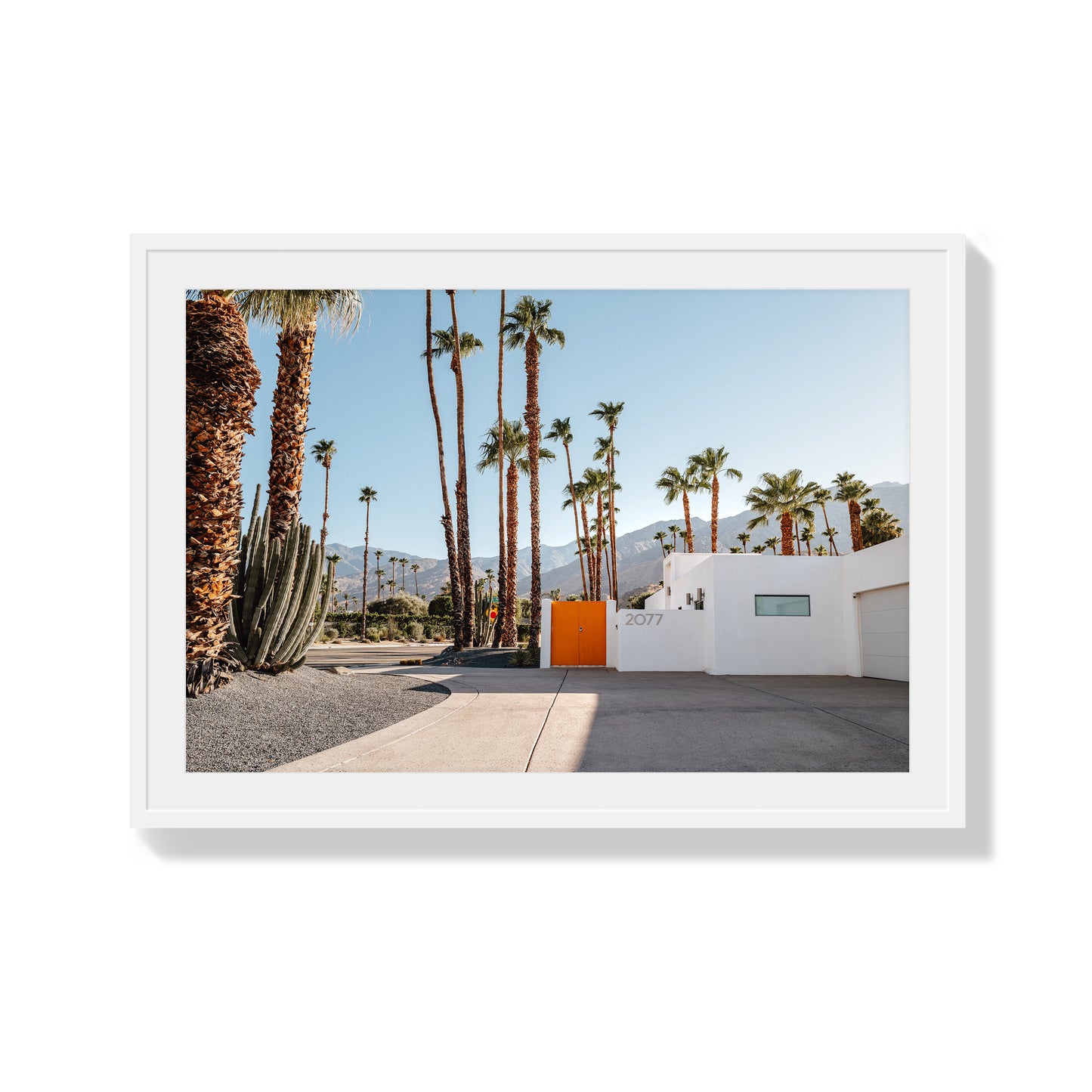 Orange Oasis