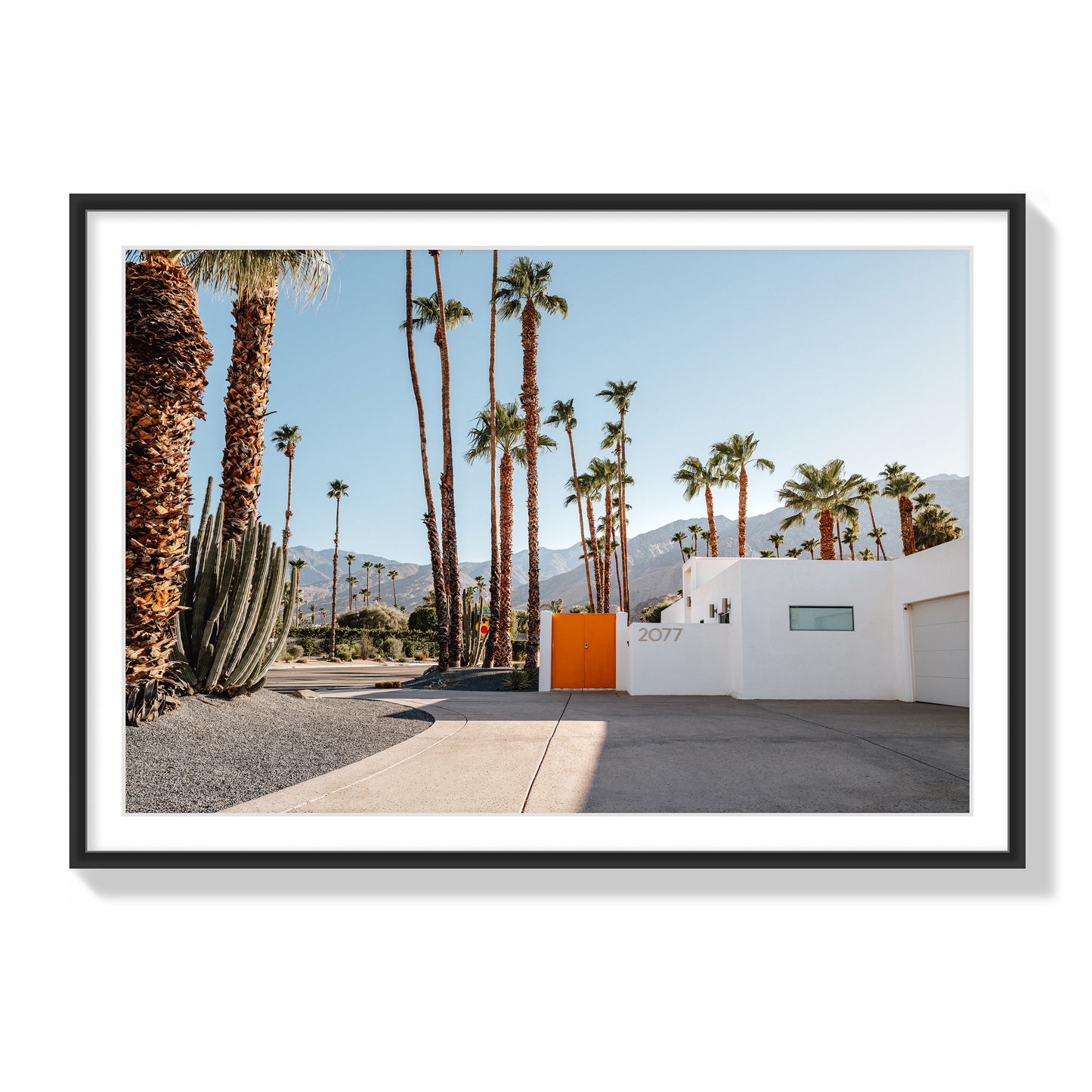 Orange Oasis