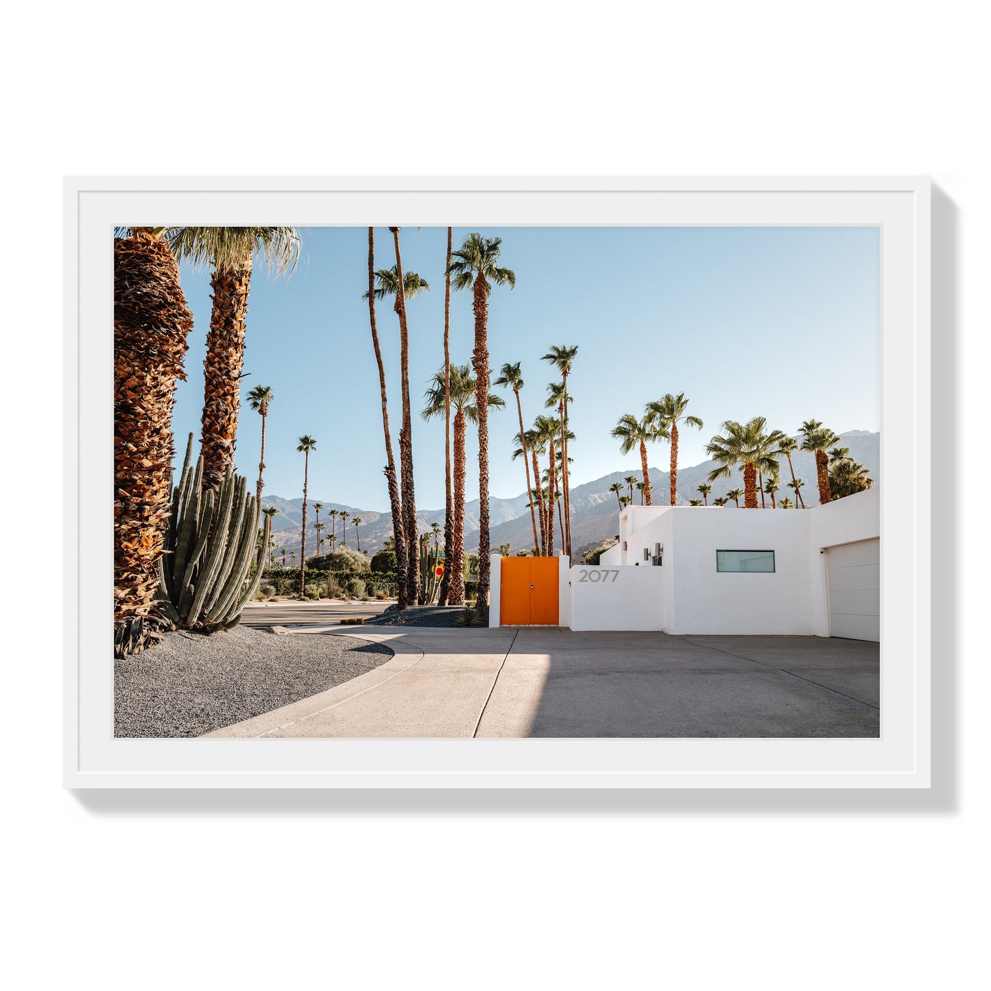 Orange Oasis