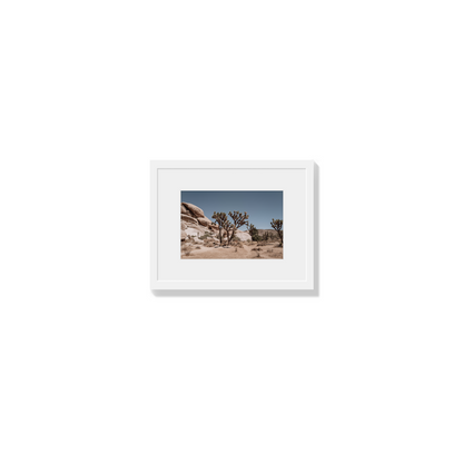 Desert Blaze