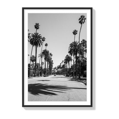 Tranquil Vogue
